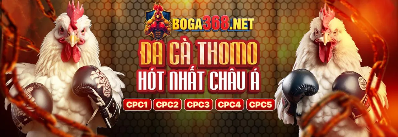 Cập nhật tin tức và ưu đãi vip666 casino