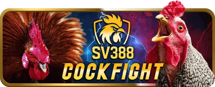 Chương trình VIP vip666 Casino